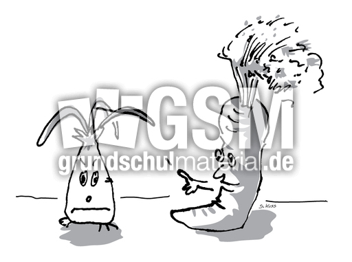 Karotte und Zwiebel 3.jpg